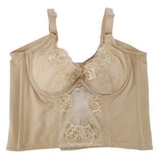 正品姬裳美身材管理器收副乳聚拢防下垂银纤维离子模具长文胸薄款