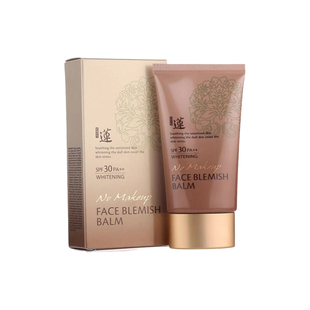 韩国原装正品 水果之乡本体清静莲生颜BB霜/补水保湿隔离提亮肤色