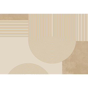 家用玄关进门地垫客厅入户门脚垫2026新款现代简约风地毯防滑垫子