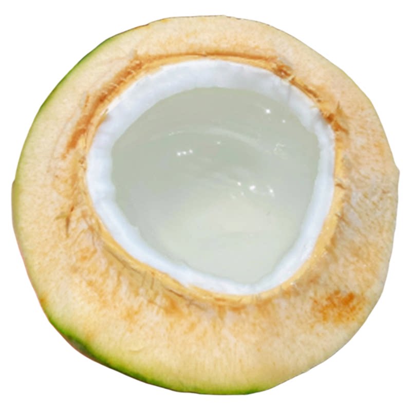 【海南椰青新鲜椰子】官方推荐!