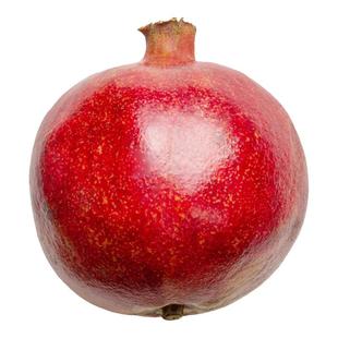 石榴树树苗庭院果树突尼斯软籽盆栽苗果苗种植北方耐寒大甜苗树