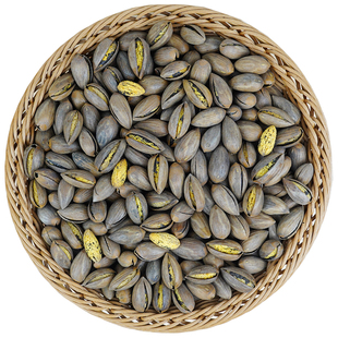 新货诸暨特产枫桥老树特好剥开口香榧子净重500克真空5斤年货坚果