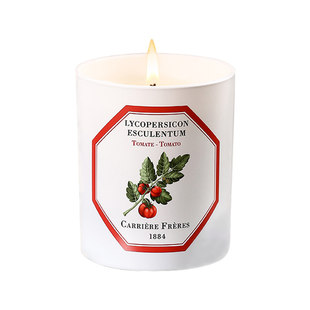 carriere freres法国植物学家cf香薰蜡烛室内番茄玫瑰持久留香