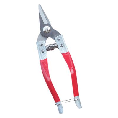 锋利款不锈钢果剪刀柑橘剪摘果剪