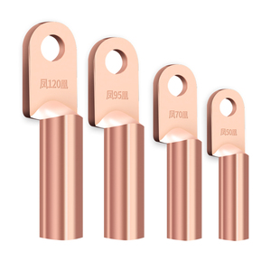 正品凤凰铜鼻子国标A级DT10-400线鼻子铜接头铜接线端子规格齐全