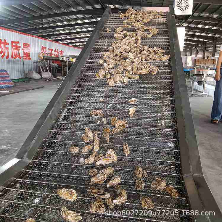 生蚝传输带输送机 牡蛎分离机水果称重分拣机连续式牛蛙分级机