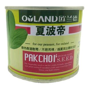 夏波帝青菜种子青梗菜种子 欧兰德上海青菜种籽 耐热湿鸡毛菜蔬菜