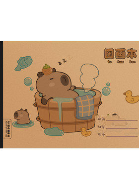 梦瑾A4画画本卡皮|513人收藏
