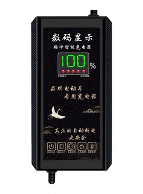 绿源电动车智能充电器
