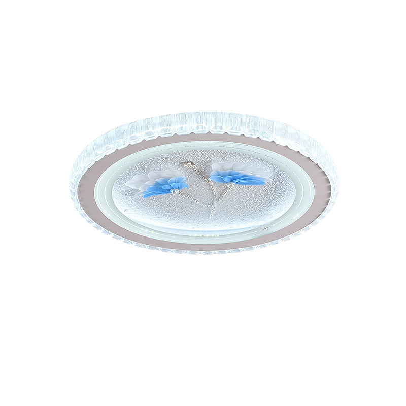 卧室灯LED10-22吸顶灯