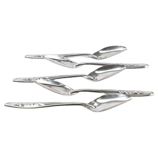 鹦鹉雏鸟不锈钢喂奶器喂鸟的勺子喂养工具玄凤幼鸟小鸟手养喂食1