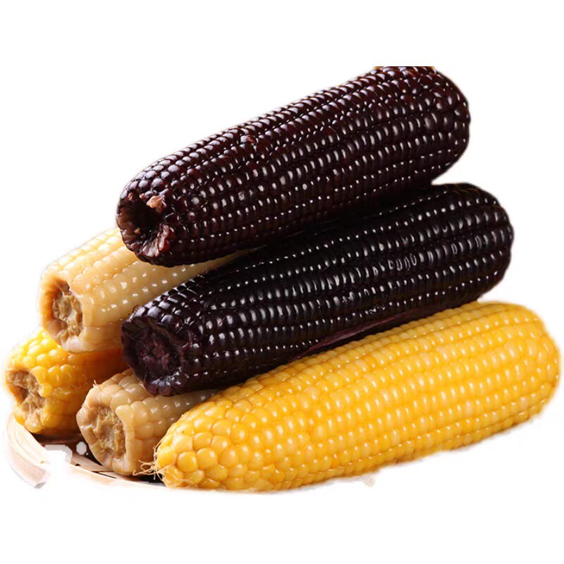 甜糯玉米真空装鲜食玉米