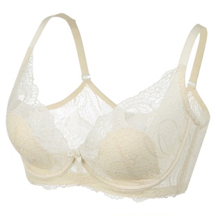 赏心文胸罩性感软钢圈兔耳朵水晶杯超薄3228大胸显小内衣专柜正品