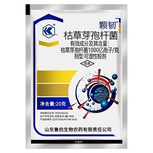 鲁抗颗韧枯草芽孢杆菌赤霉病稻瘟病炭疽病晚疫病白粉病农药杀菌剂