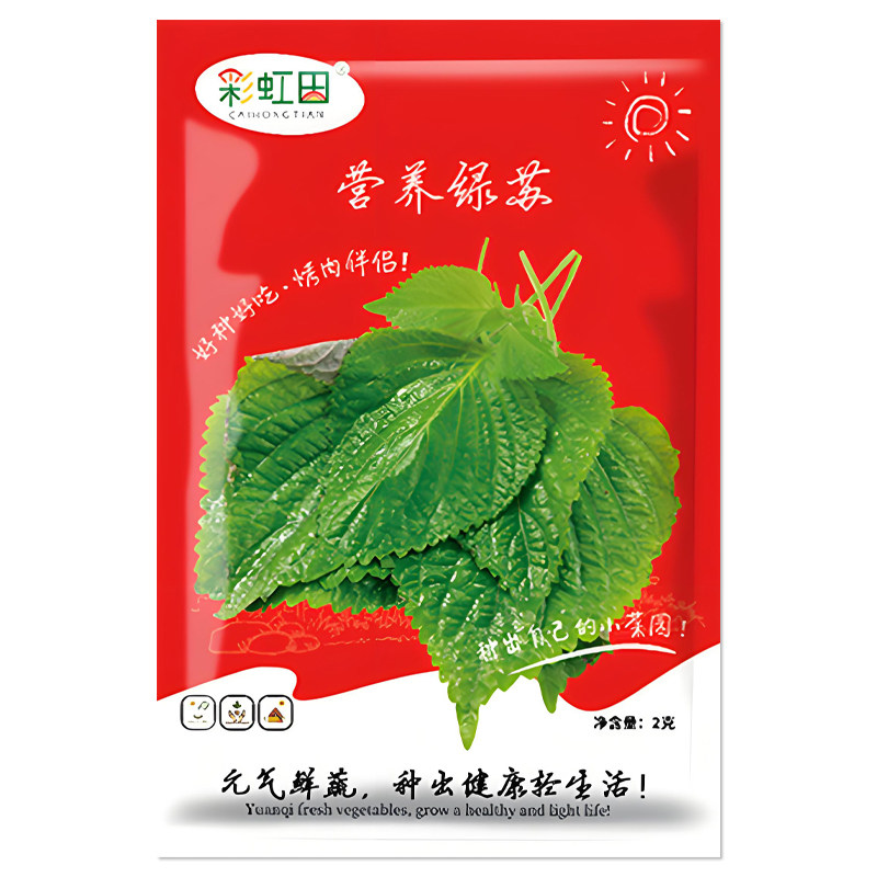 营养绿苏种子蔬菜种子籽