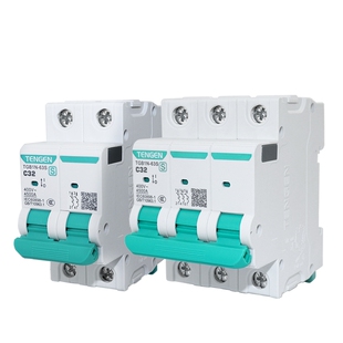 天正空气开关TGB1N-63S小型断路器4P家用2P空调1P电闸32A总空开3P