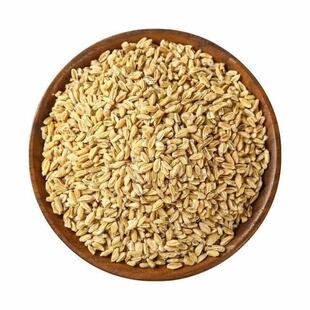 精选浮小麦中药材官方旗舰店止汗浮水小麦茶干瘪小麦另售甘草红枣