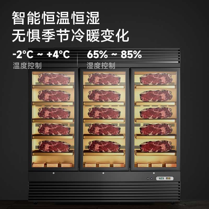 驰能牛肉熟成柜商用展示柜干放式牛排柜排酸机西餐湿式冷藏保鲜柜