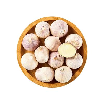 紫皮独头蒜250g大蒜头