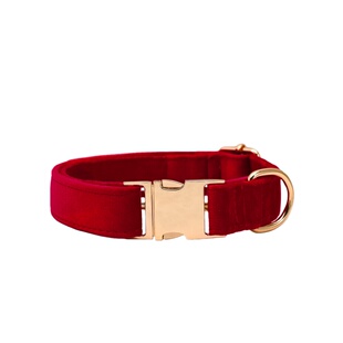 狗狗刻字项圈泰迪颈圈狗绳刻字防丢牵引绳中大型犬毛绒可调节脖圈