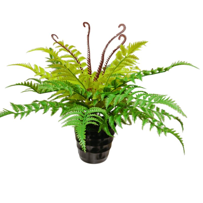 仿真绿植蕨类假植物塑料假花草金丝猴蕨婚庆花艺工程装饰景观花卉