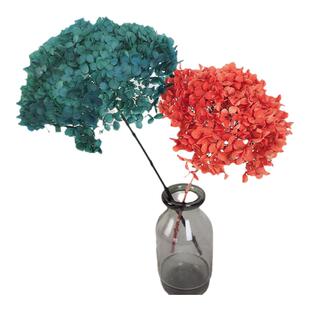 整枝绣球永生花 真花天然真干花 装饰插花手工白色花材