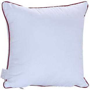 抱枕芯内胆沙发枕芯家用靠垫芯45x45抱枕心50x50靠背内芯40靠枕芯