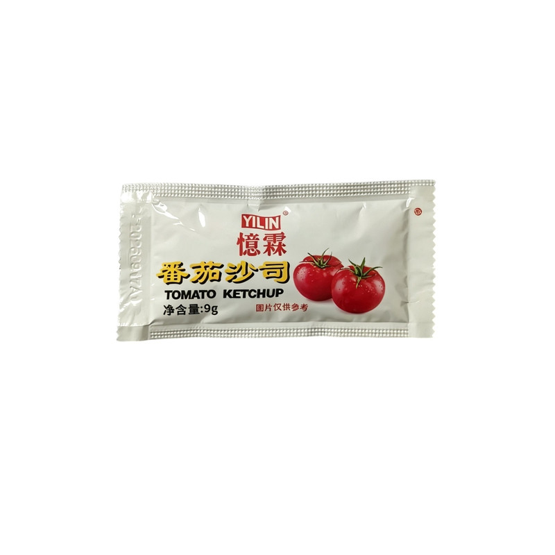 忆霖番茄沙司9克*600包商用