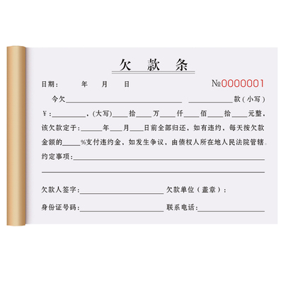 【律师认可】欠款条一联全国通用