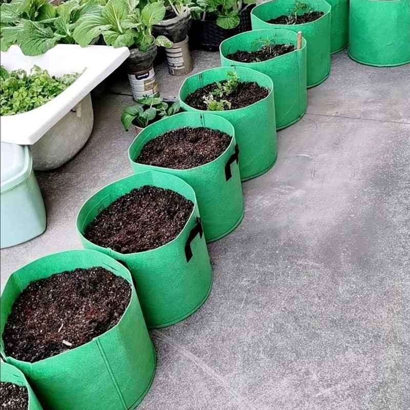 美植树袋加厚无纺布特大阳台楼顶月季种菜花盆蔬菜果树育苗种植箱
