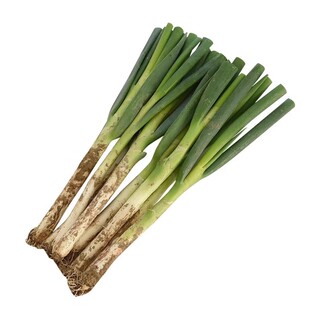 大葱章丘大葱新鲜铁杆长葱正宗山东脆甜香葱头当季蔬菜产地直发