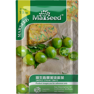 翠绿爆浆矮生翡翠溪流樱桃番茄种子种苗多产阳台庭院盆栽蔬菜B009