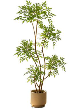 仿真绿植南天竹盆栽轻奢室内客厅