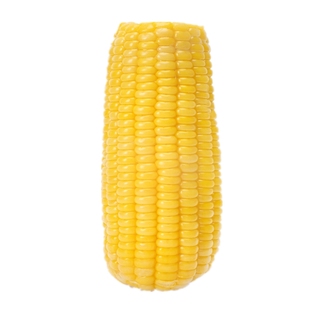 田里有草东北吉林黄糯玉米真空包装新鲜玉米早餐苞米甜田苞黑玉米