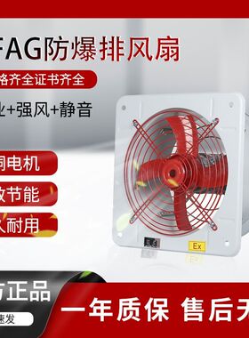 防爆轴流风机FBAG防爆排风扇大功率工业用220V