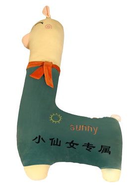 女生抱睡公仔可拆洗抱枕布娃娃