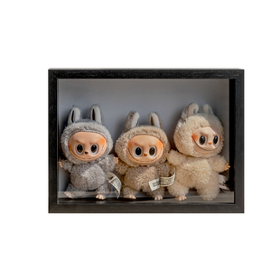 毛绒娃娃收纳展示架透明盲盒公仔手办泡泡玛特拉布布labubu展示盒