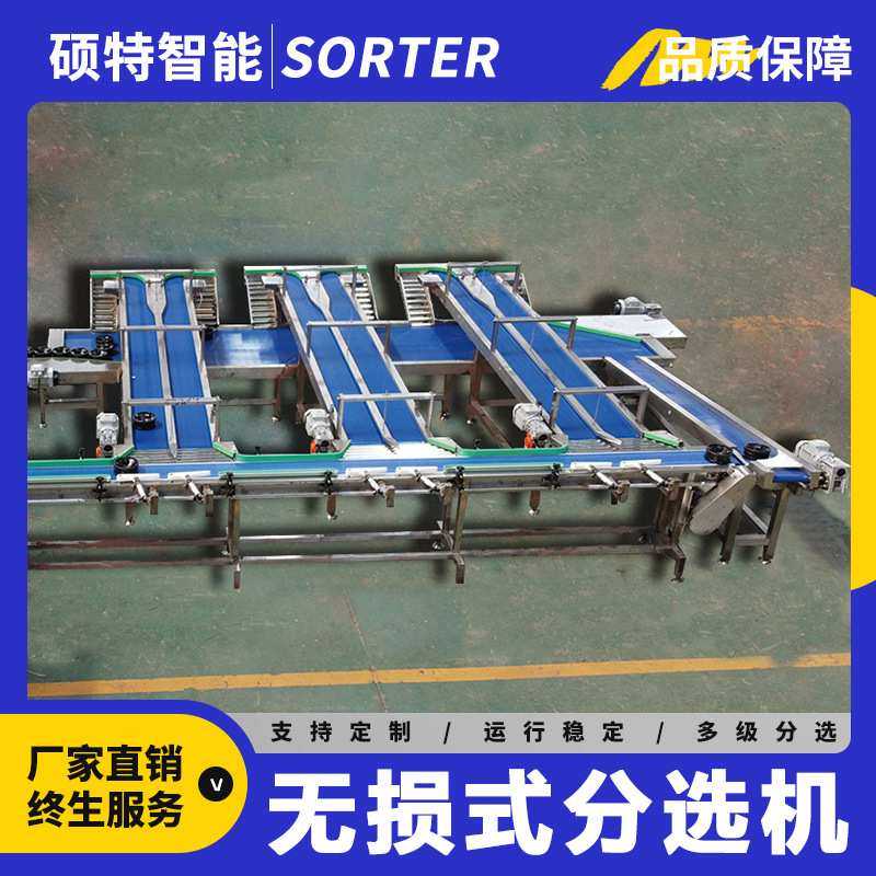 草莓无损分选机 芒果呵护式分拣设备 水果无损测糖网纹瓜自由果托