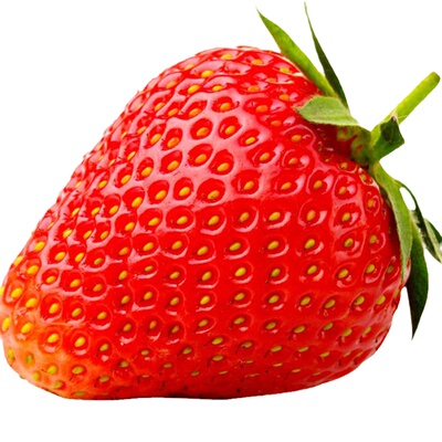 草莓种子四季易种奶油草莓盆栽