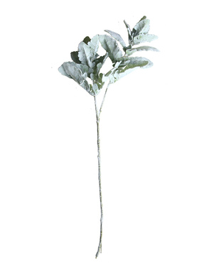 仿真银叶菊植绒羊角叶婚庆搭配