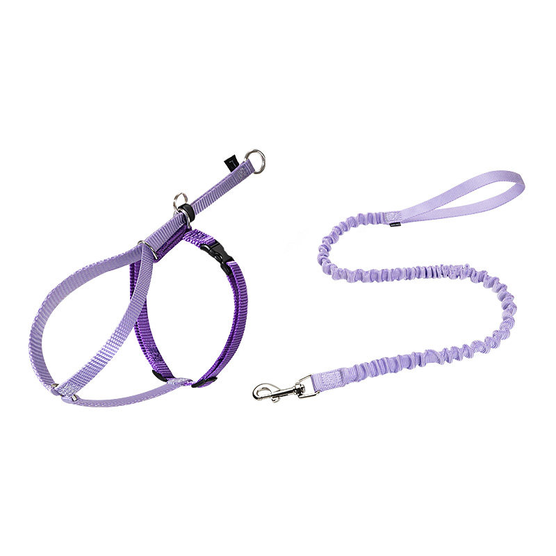 è��ǣ���� �ɵ��ڷ����ѱ��� Сèר�� ��ɫ 1-5�� 42.8Ԫ