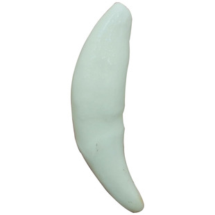 真品天然黑狗牙手工材料手链配件宝宝婴儿狗牙齿批发儿童随身挂件