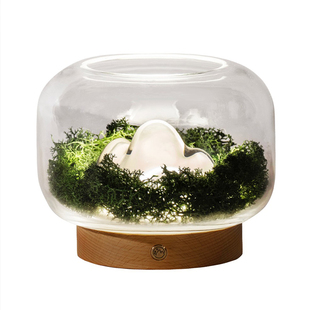 Nuan Lamp | Four Seasons 山川四季 暖山香薰灯 自然植物设计灯