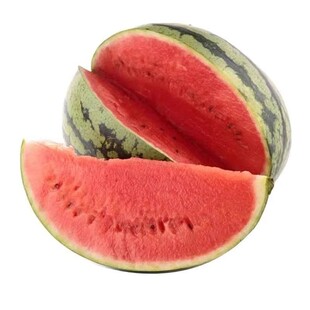 西瓜苗嫁接8424西瓜苗麒麟西瓜秧苗黄壤西瓜苗盆栽地栽易成活