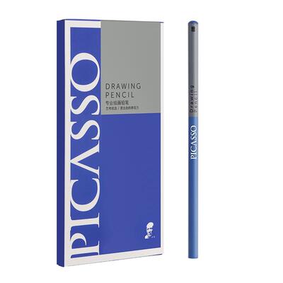 毕加索素描铅笔炭笔美术生绘画