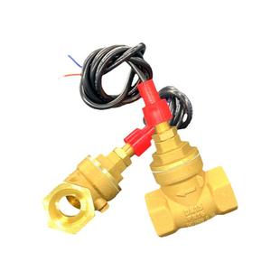 水流开关挡板式DN15 4分干簧管感应缺水保护流量感应器