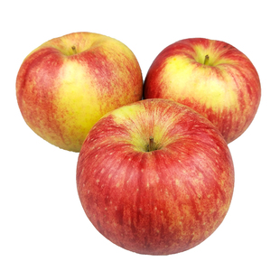 大连乔纳金苹果易粉面宝宝刮泥辅食老人新鲜水果食用5斤多省包邮