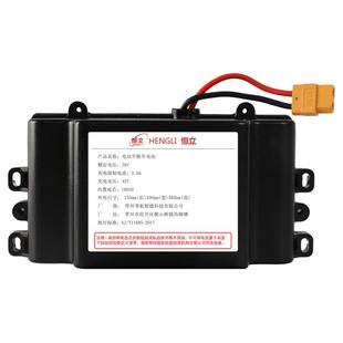 阿尔郎电动平衡车36v通用安派新能源锂电池组防爆42v电瓶配件合一