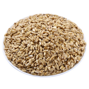 浮小麦中药材500g克止汗茶浮水小麦干瘪子新货甘草红枣甘麦大枣汤