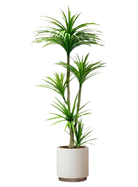 高端轻奢龙血树室内大型落地盆栽仿真绿植客厅植物摆件假树假花